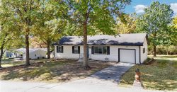 Homes for Sale in Pleasant Valley, MO 64068 | 6310  River Road