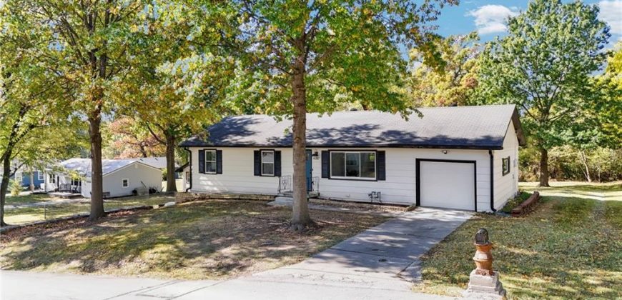 Homes for Sale in Pleasant Valley, MO 64068 | 6310  River Road