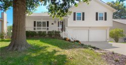 Homes for Sale in Kearney, MO 64060 | 1701  Park Lane