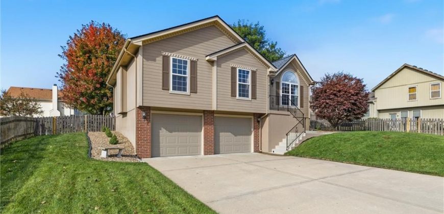 Homes for Sale in Kansas City, MO 64155 | 11008 N Central Street