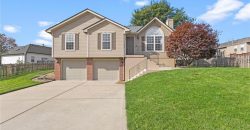 Homes for Sale in Kansas City, MO 64155 | 11008 N Central Street