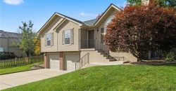 Homes for Sale in Kansas City, MO 64155 | 11008 N Central Street