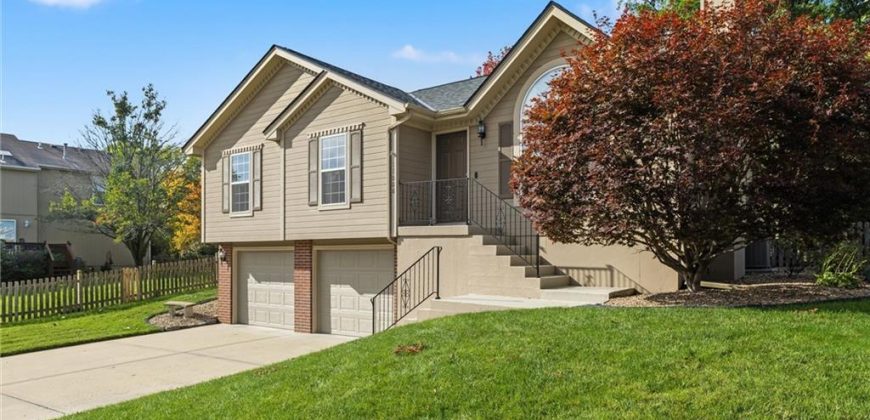 Homes for Sale in Kansas City, MO 64155 | 11008 N Central Street