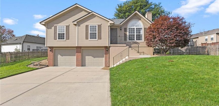 Homes for Sale in Kansas City, MO 64155 | 11008 N Central Street