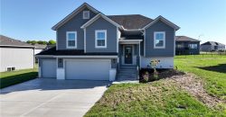 Homes for Sale in Kansas City, MO 64165 | 1222 NE 122nd Street