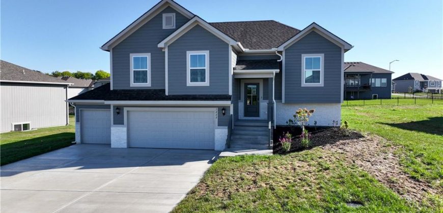 Homes for Sale in Kansas City, MO 64165 | 1222 NE 122nd Street