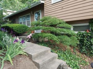 2101-NE-62nd-Street-mls-2583120-image-1