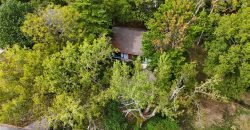 Homes for Sale in Kansas City, MO 64116 | 106 NW Greentree Lane