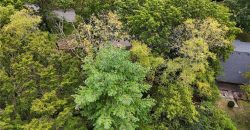 Homes for Sale in Kansas City, MO 64116 | 106 NW Greentree Lane