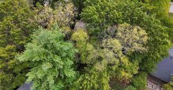 Homes for Sale in Kansas City, MO 64116 | 106 NW Greentree Lane