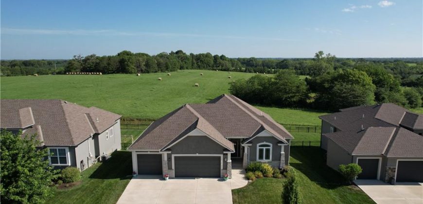 Homes for Sale in Kansas City, MO 64155 | 2010 NE 114th Terrace