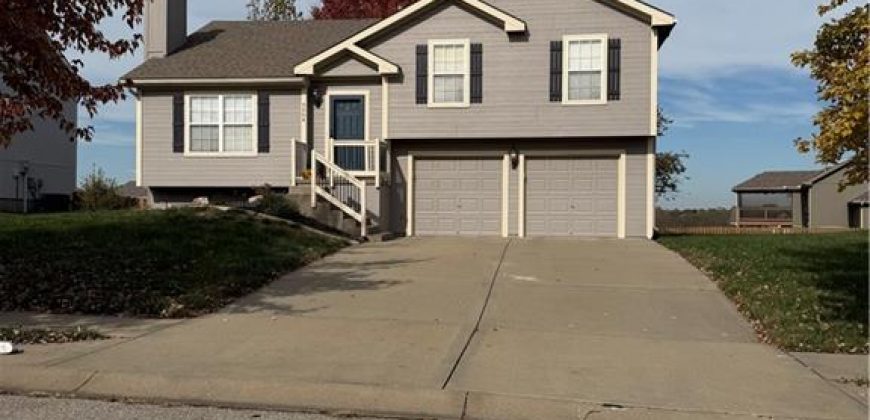 Homes for Sale in Kansas City, MO 64157 | 9004 NE PAW PAW Drive