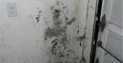 Homes for Sale in Kansas City, MO 64155 | 917 NE 108th Terrace