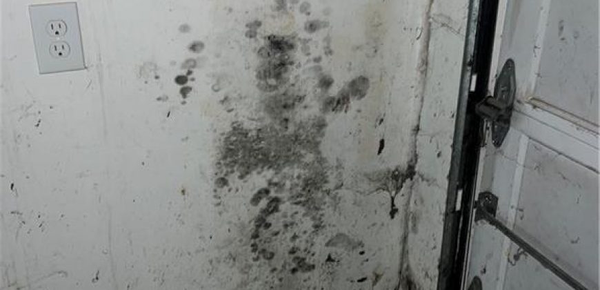 Homes for Sale in Kansas City, MO 64155 | 917 NE 108th Terrace