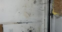 Homes for Sale in Kansas City, MO 64155 | 917 NE 108th Terrace