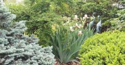 Homes for Sale in Kansas City, MO 64118 | 2101 NE 62nd Street