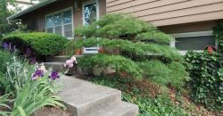 Homes for Sale in Kansas City, MO 64118 | 2101 NE 62nd Street