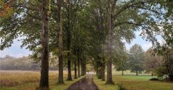 Homes for Sale in Kearney, MO 64069 | 13209  Plattsburg Road