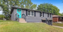 Homes for Sale in Kansas City, MO 64155 | 520 NW 88th Terrace