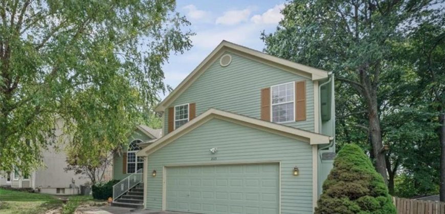 Homes for Sale in Kansas City, MO 64155 | 205 NW 110th Street