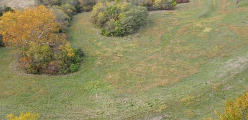 Homes for Sale in Other, MO 64079 | 2108 S 4th Street