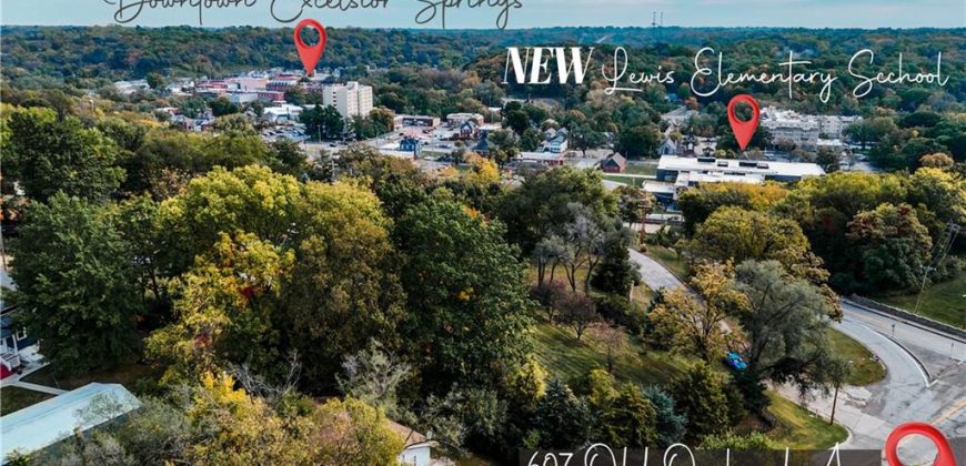 Homes for Sale in Excelsior Springs, MO 64024 | 607  Old Orchard Avenue