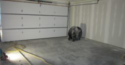 Homes for Sale in Excelsior Springs, MO 64024 | 1219  Paton Street