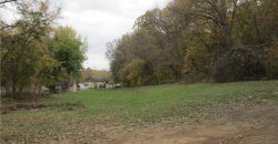 Homes for Sale in Excelsior Springs, MO 64024 | 1219  Paton Street