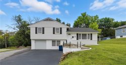 Homes for Sale in Kansas City, MO 64155 | 800 NE 90th Street