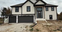 Homes for Sale in Excelsior Springs, MO 64024 | 12402  Morgan Street