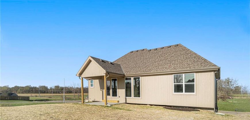 Homes for Sale in Excelsior Springs, MO 64024 | 12402  Morgan Street