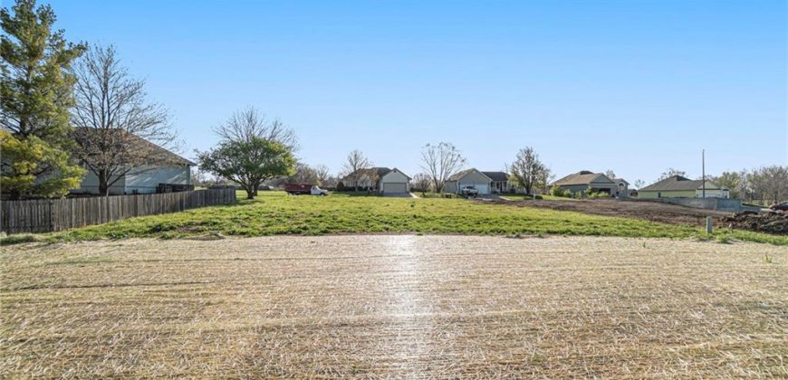 Homes for Sale in Excelsior Springs, MO 64024 | 12402  Morgan Street