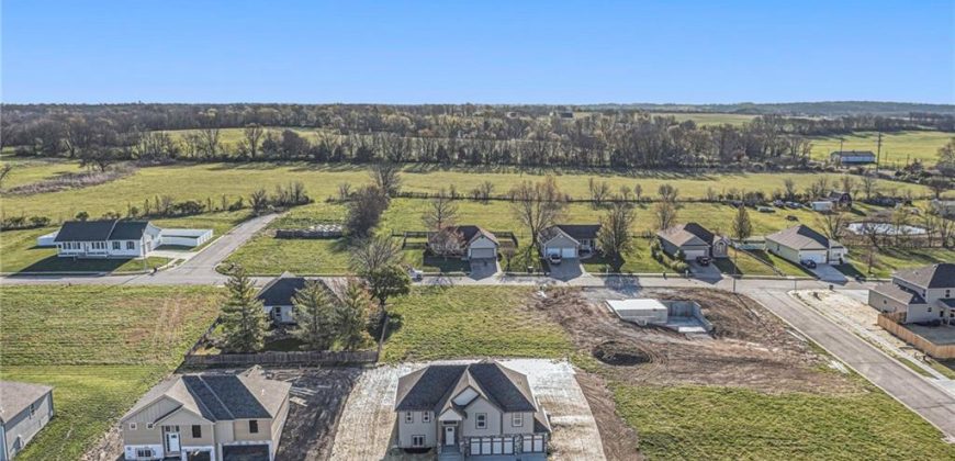 Homes for Sale in Excelsior Springs, MO 64024 | 12402  Morgan Street