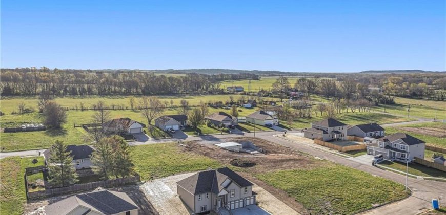 Homes for Sale in Excelsior Springs, MO 64024 | 12402  Morgan Street