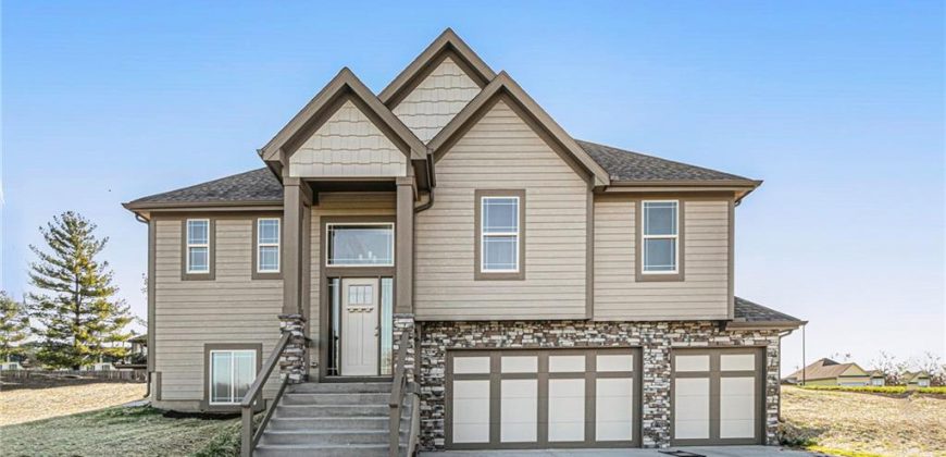 Homes for Sale in Excelsior Springs, MO 64024 | 12402  Morgan Street