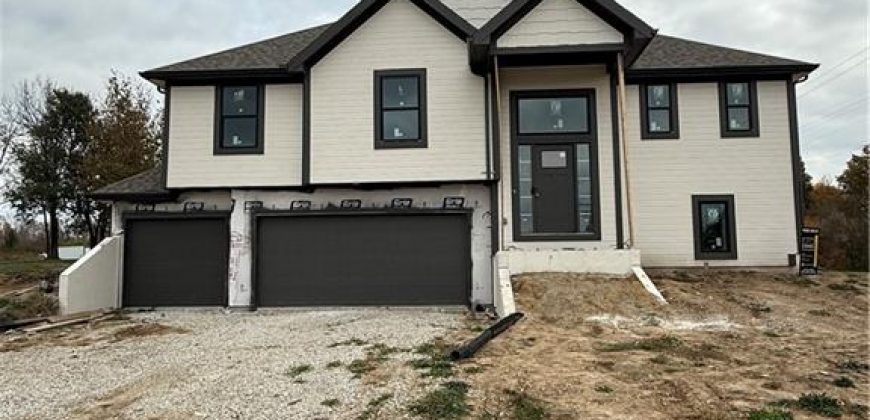 Homes for Sale in Excelsior Springs, MO 64024 | 12402  Morgan Street