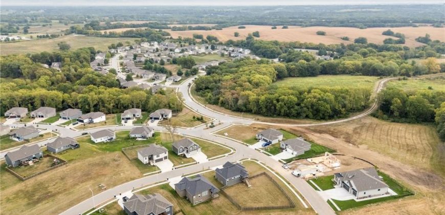 Homes for Sale in Kansas City, MO 64165 | 1325 NE 122nd Street