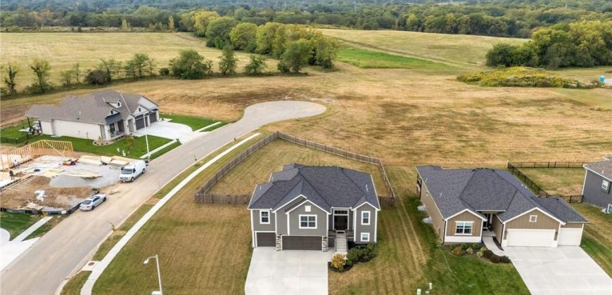 Homes for Sale in Kansas City, MO 64165 | 1325 NE 122nd Street