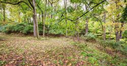 Homes for Sale in Kansas City, MO 64116 | 509 NW 41st Street