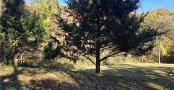 Homes for Sale in Missouri City, MO 64072 | 626  wood Street