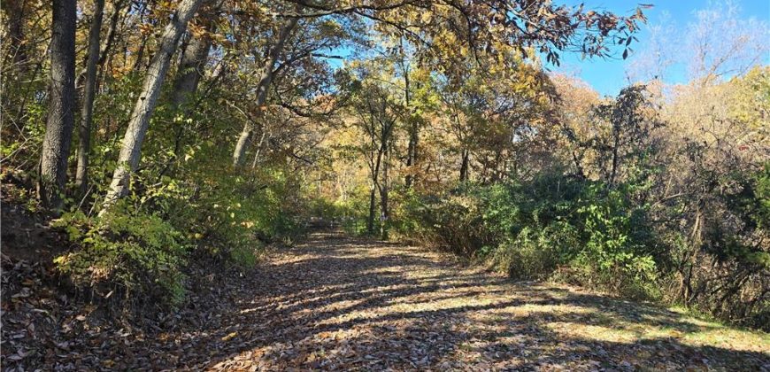 Homes for Sale in Missouri City, MO 64072 | 626  wood Street