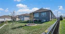 Homes for Sale in Kansas City, MO 64155 | 1748 NW 107th Terrace