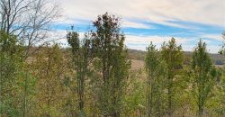 Homes for Sale in Platte City, MO 64079 | 1863  Wilkerson