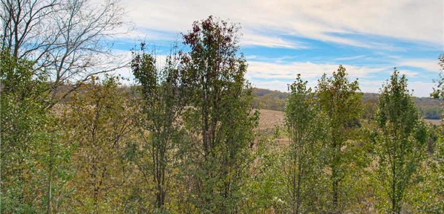 Homes for Sale in Platte City, MO 64079 | 1863  Wilkerson