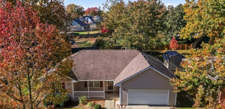 Homes for Sale in Excelsior Springs, MO 64024 | 2002  Joy Street