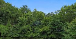 Homes for Sale in Parkville, MO 64152 | 8190  Shoreline Drive