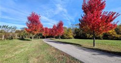 Homes for Sale in Kearney, MO 64060 | 15600 NE 124th Street