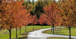 Homes for Sale in Kearney, MO 64060 | 15600 NE 124th Street