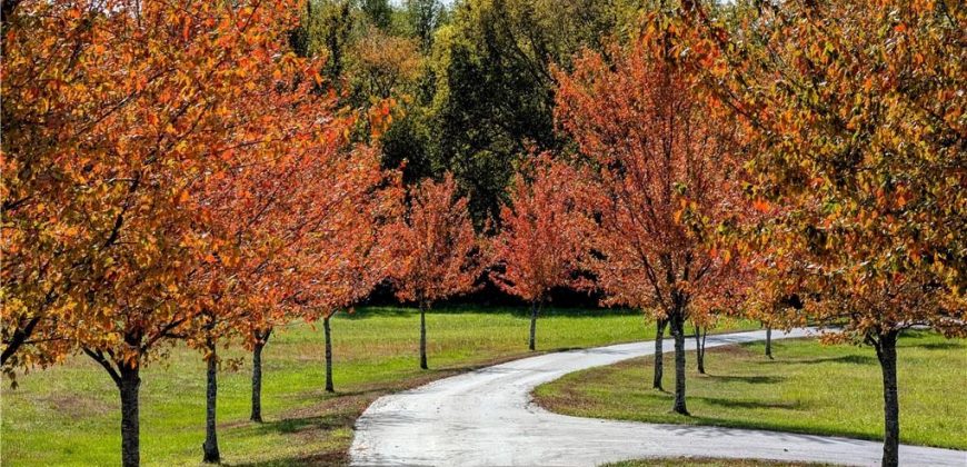 Homes for Sale in Kearney, MO 64060 | 15600 NE 124th Street