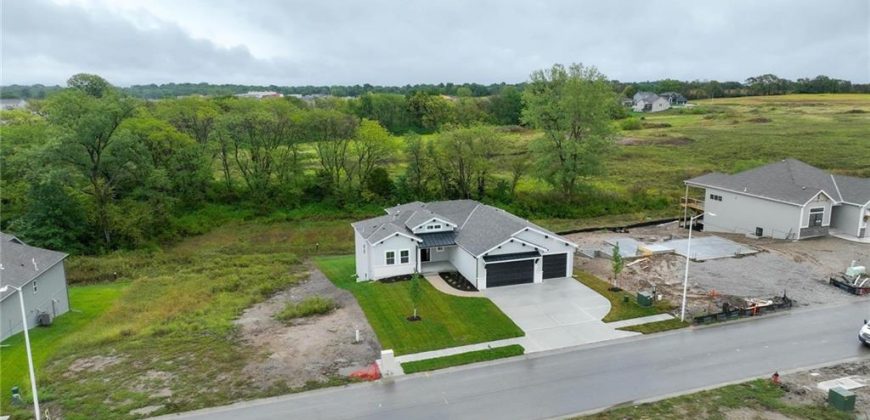 Homes for Sale in Kansas City, MO 64155 | 10519 N Liberty Street